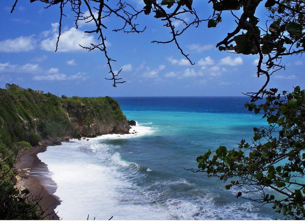 The View At Mystic Ridge Penthouse 78A Lejlighed Ocho Rios Eksteriør billede