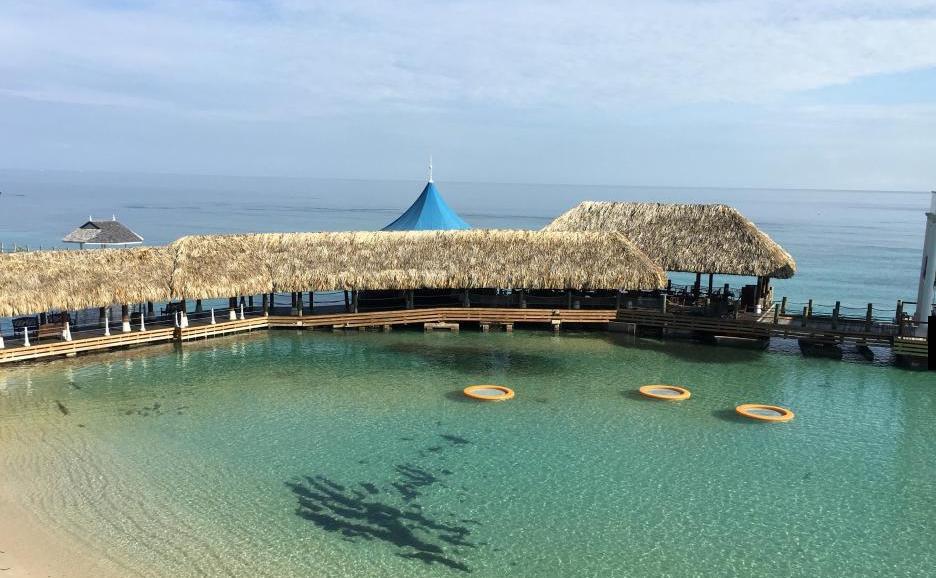 The View At Mystic Ridge Penthouse 78A Lejlighed Ocho Rios Eksteriør billede